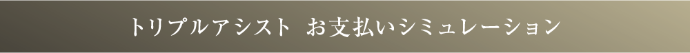 トリプルアシスト　お支払いシミュレーション