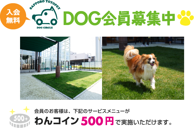 会員のお客様は、下記のサービスメニューがわんコイン500円で実施いただけます。