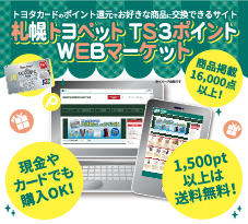 TS3ポイントwebマーケット