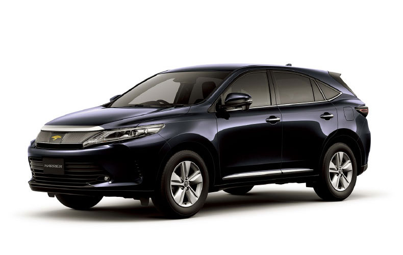 スパークリングブラックパールクリスタルシャイン〈220〉