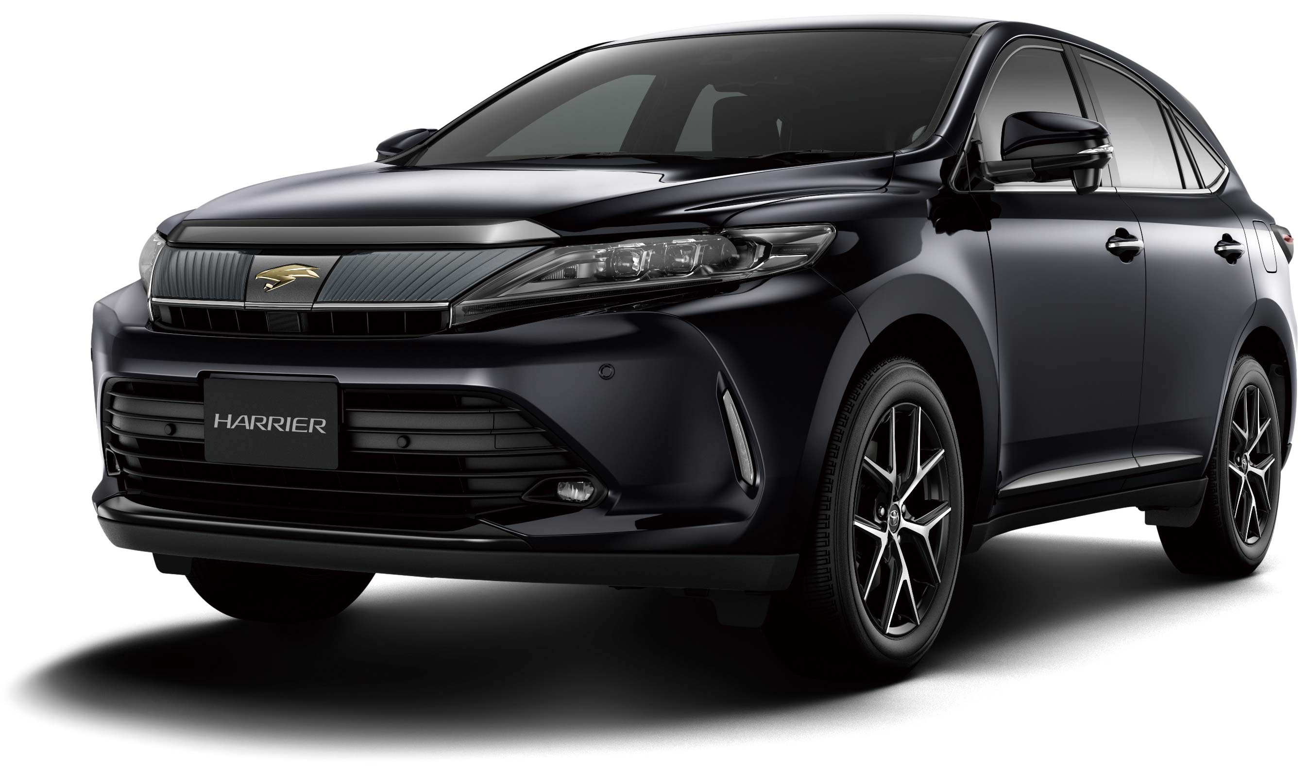 ブラックマイカ