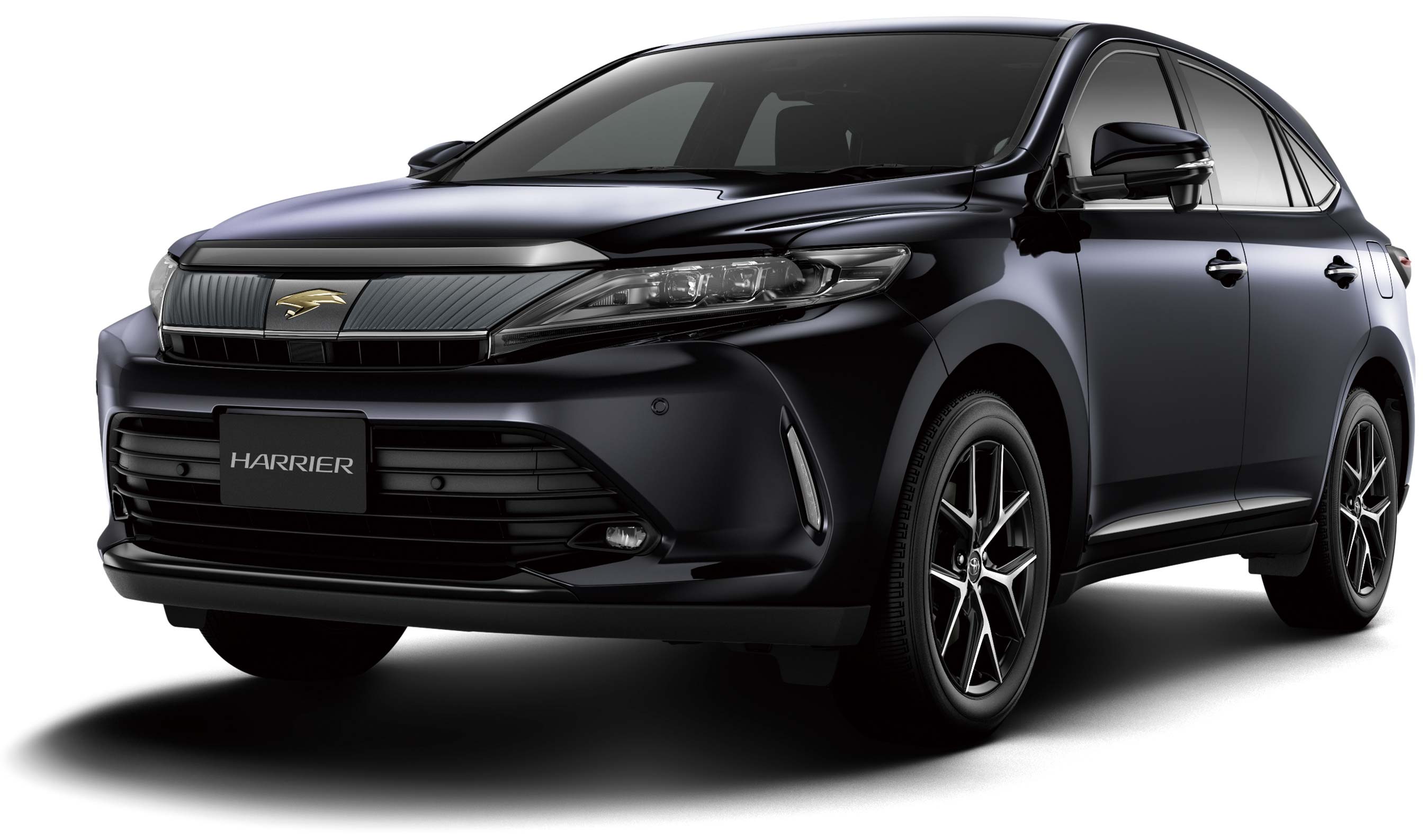 スパークリングブラックパールクリスタルシャイン