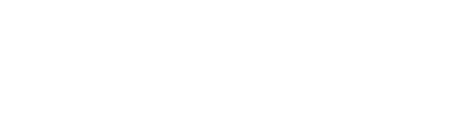 先進安全性能
