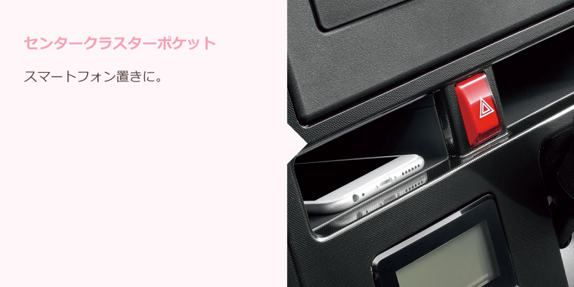 センタークラスターポケット