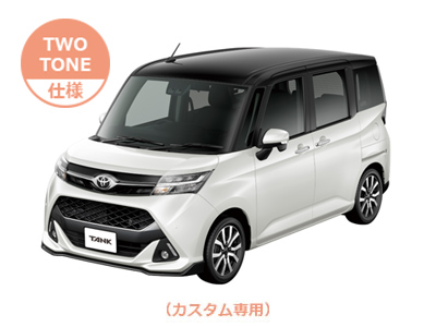 ブラックマイカメタリック×パールホワイトⅢ